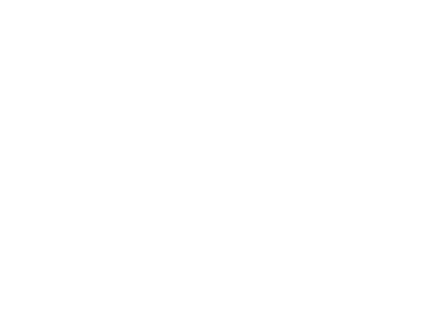 Cogito Strategies